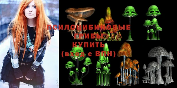 кокаин премиум Богородицк