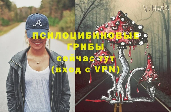 ALPHA-PVP Богородск
