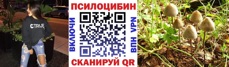 продажа наркотиков  Кохма  Псилоцибиновые грибы ЛСД 