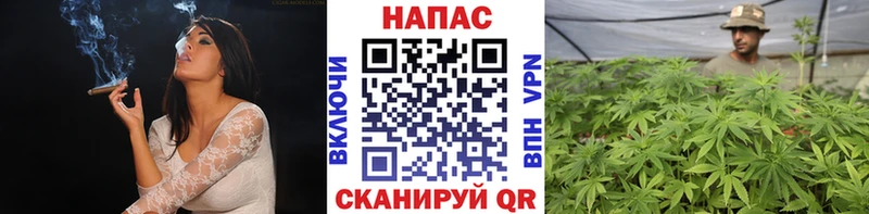 Бошки марихуана планчик  Кохма 